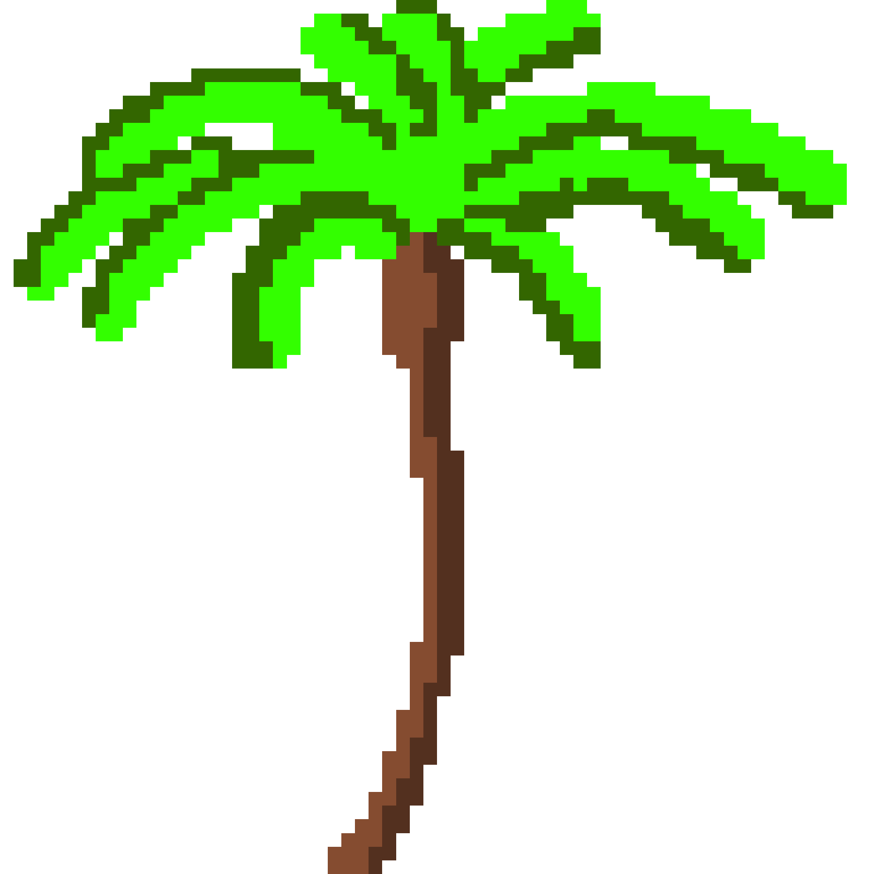 image of palm tree